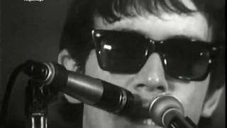 The Animals - We Gotta Get Out Of This Place (Live, 1965) ♫♥