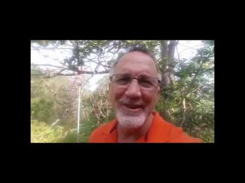 Businesses Welcome to Howler Costa Rica