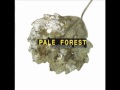 Transformation Hymns - Pale Forest