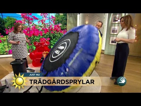 Trädgårdsprylarna som gör sommaren roligare - Nyhetsmorgon (TV4)