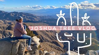 TRAVEL VLOG: joshua tree with my family 🌵