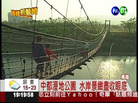 都市中的森林! 中都濕地綠意盎然