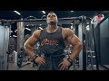 Apollon Nutrition's athlete trains back [BODYBUILDING MOTIVATION]
