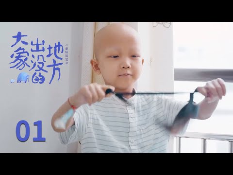 大象代表