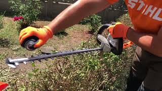 STIHL HSE 71 Electric Hedge Trimmer - extreme test
