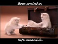 Ive Mendes - Night, Night 