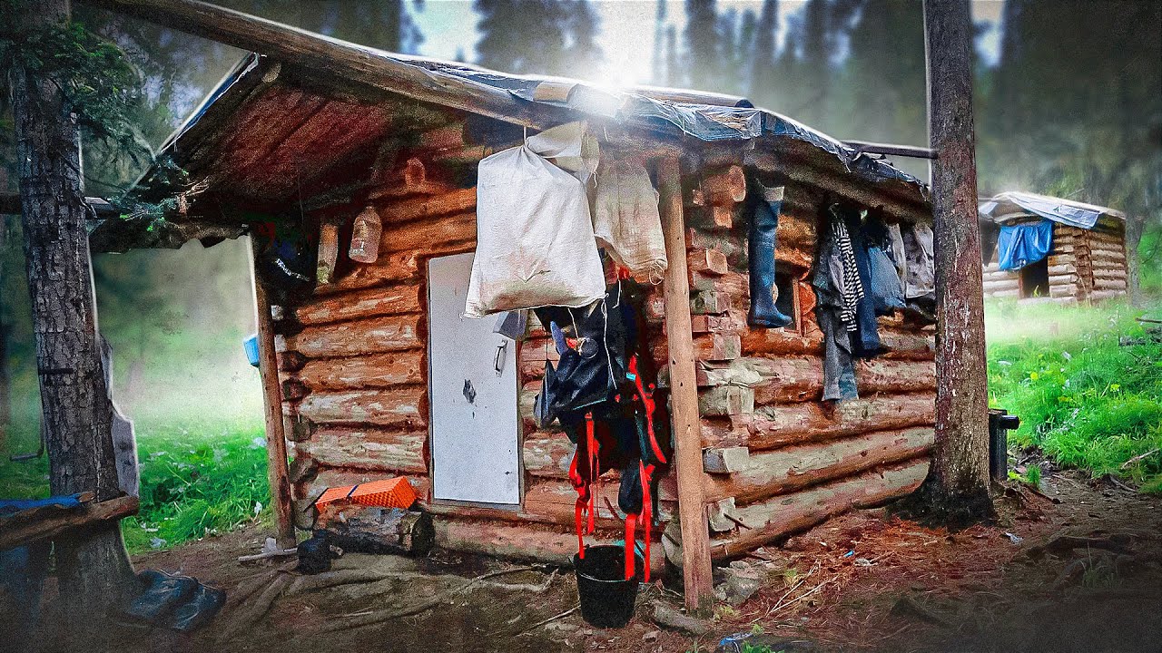 НАШЕЛ ИЗБУ. КАК ОТПУГНУТЬ МЕДВЕДЯ. НОВОЁ ЗИМОВЬЕ.