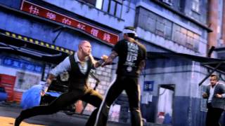Georges St. Pierre Had Something to do With How You Will Punch Dudes In Sleeping Dogs