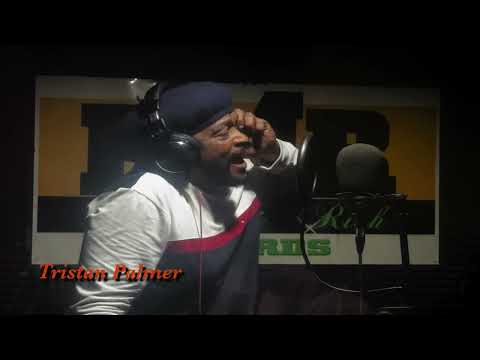 Tristan Palmer - Take My Hand - RMR Records Jamaica
