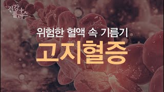 위험한 혈액 속 기름기, 고지혈증 [건강플러스] 미리보기