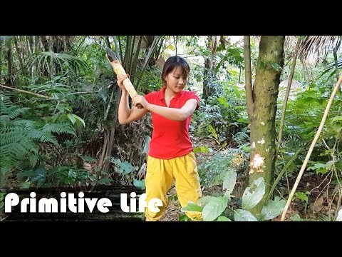 Primitive Technology Making a Primitive Stone Axe