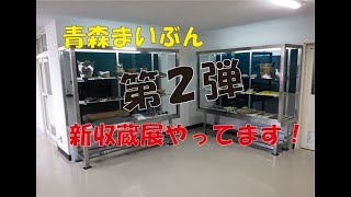 【青森埋文】新収蔵展紹介~第2弾~