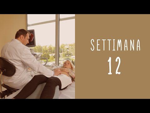Calendario della gravidanza - settimana 12