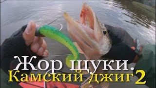 Утренний клев щуки в сентябре на спиннинг