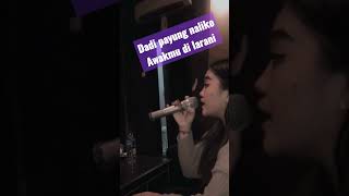 Download lagu Mangku Purel ahayyy #shorts #short #tetegati #tante mp3 Download lagu Mangku Purel ahayyy #shorts #short #tetegati #tante mp3