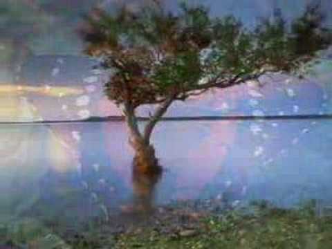 Nădejdea mea e Dumnezeu - video
