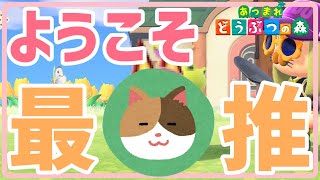 【音量注意】最推住民ついに来島！生きててよかった！！！【あつまれどうぶつの森】【実況】