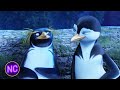 Cody Can T Sleep Surf S Up 2 Wave Mania Now Comedy