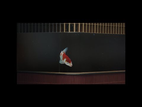 Video thumbnail for 阿姆斯特丹夜機 (Amsterdam Midnight Flight)