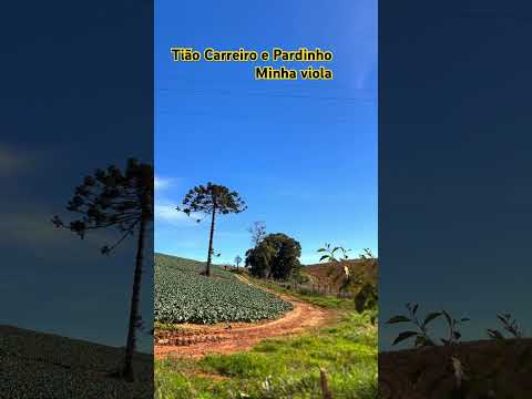 Tião Carreiro e Pardinho Minha Viola.