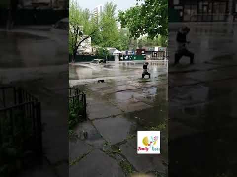 В Киеве после ливня на дороге затопило машины. In Kiev, after a rainstorm on the road cars flooded