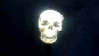 INCIDENTAL AND CO - Said it dog entrails