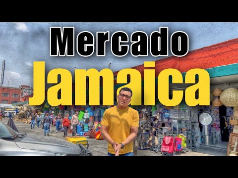 ¡Exploramos el Mercado de Jamaica para Descubrir los mejores Mariscos y Gorditas Gourmet!