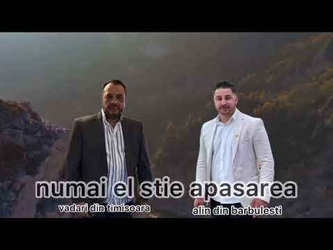 Vadari de la Timișoara  Alin din Barbulesti - Numai el știe apăsarea