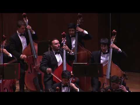 Sinfonía no. 1 de Brahms / 1er mov