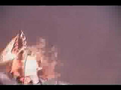 CALMA PORRA! AO VIVO CANIBALBRASIL