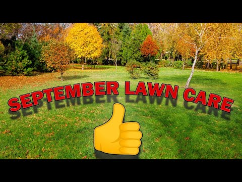 September Lawn Care for Warm Season Grass | Fall Lawn Tips for St. Augustine Grass!!