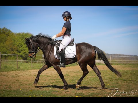 GONE GIRL FAST - ELEVAGE FAST