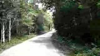 POR LA SELVA DE CAMPECHE MEXICO