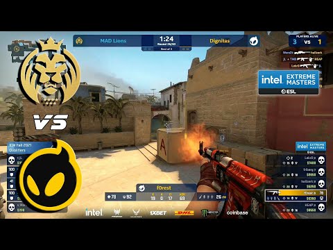 ROAD TO MAJOR! MAD Lions vs Dignitas - IEM Fall | HIGHLIGHTS CSGO