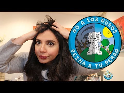 ¿Nudos en tu perro? No a los nudos peina tu perro.