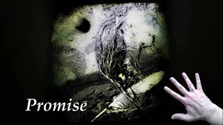 Promise  (David Sylvian cover)