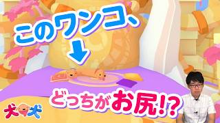 さなぴーとフシギなワンコの大冒険！犬犬 #1