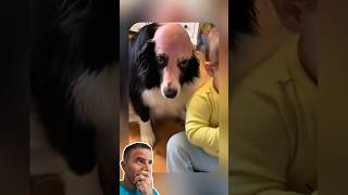 Corte Inesperado! Criança Apronta com o Cachorro 🤣🐶✂️
