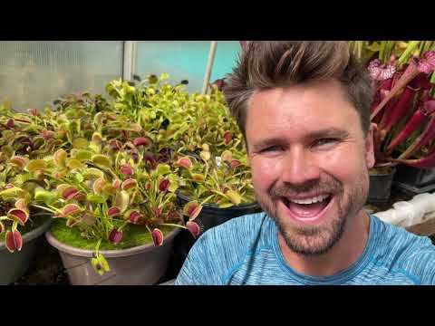 2021 Temperate Carnivorous Plant Greenhouse Tour - Jeremiahs Plants