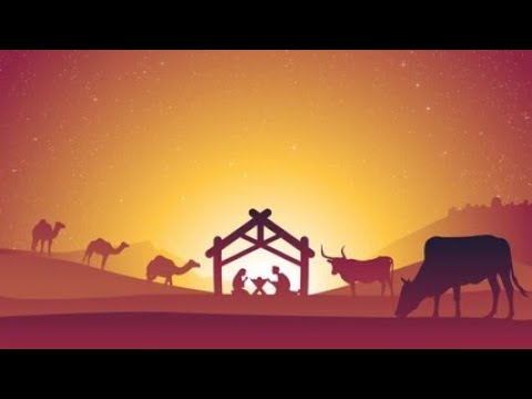 The Infancy Narratives of Jesus:   Muslim & Christian Perspectives