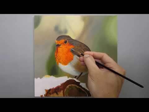 Painting a Robin | Time Lapse | Episode 153