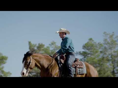 Master Simple Cues with Andrea Fappani