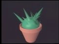 Plants 1989