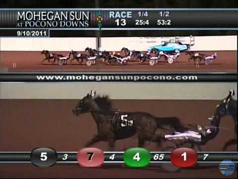 2011 Cane Pace - theharnessedge.com