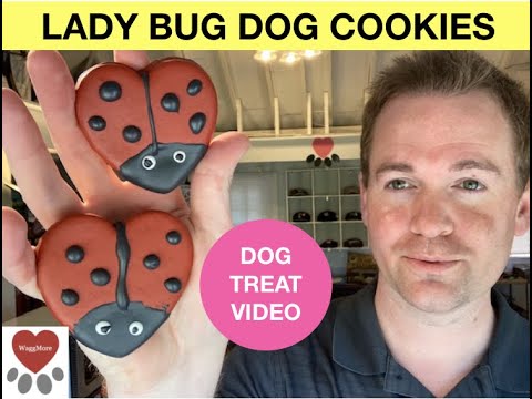 DIY Homemade Lady Bug Dog Treats!