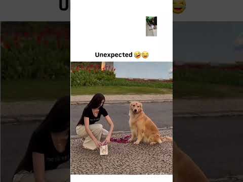 ..