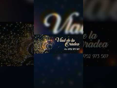 Vlad de la Oradea - Ce ți-am spus eu ( live 2024)