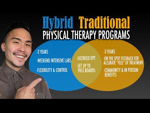 Is a Hybrid DPT Program WORTH IT? Online DPT program vs Traditional