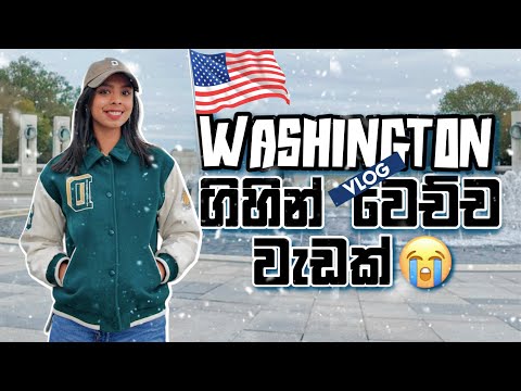 මම Washington ගියා 🤍 | First Time Shopping In USA 🇺🇸| සිංහල Vlog 💕