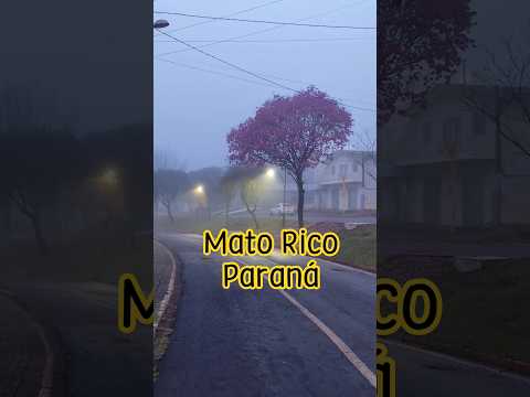 Mato Rico. Conheça um pouquinho de nossa cidadezinha. #matorico #paraná #cidadesbrasileiras